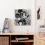 Aviator Grey - Éditions Limitées - @nouveau, @trio6565, Avion, Blanc, Crayon