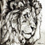 Black is Back - Éditions Limitées - @trio6565, Animal, Animaux, Blanc, Crayon