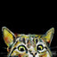 Chat alors - Éditions Limitées - @bestsellers, @trio6565, Animaux, Chat, Dibond®