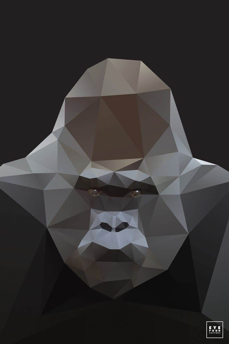 Gorilla - Éditions Limitées @trio8055, Animaux, Dibond®, Gorille, Gris