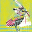 Green Soaring - Éditions Limitées - @trio8055, Animaux, Beau, Dibond®,