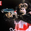 Killer - Éditions Limitées - @trio8055, Animaux, Dibond®, EFF_AU_SELECTION,