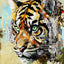 Tokyo - Éditions Limitées - @quatuor165130, Dibond®, exportnewch, Tigre, Toile